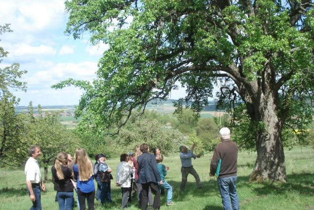 Führung über die Buchleite