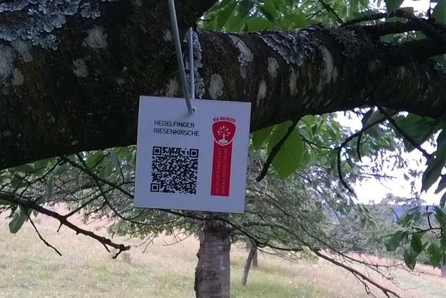 Sorteninformation per QR-Code