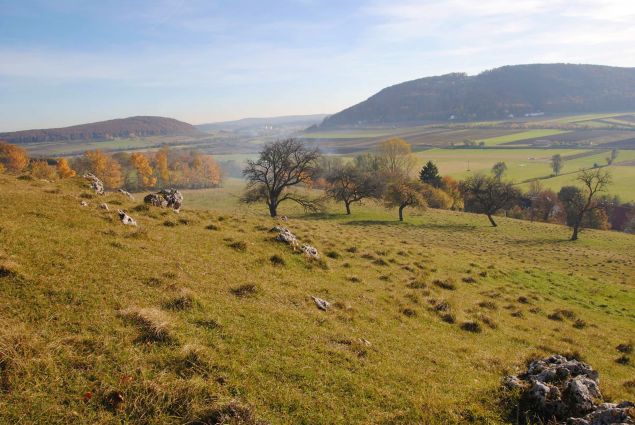 Blick ins Altmühltal Richtung Treuchtlingen