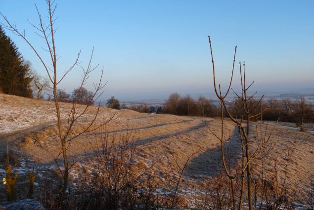 Blick auf die Buchleite an einem Wintermorgen