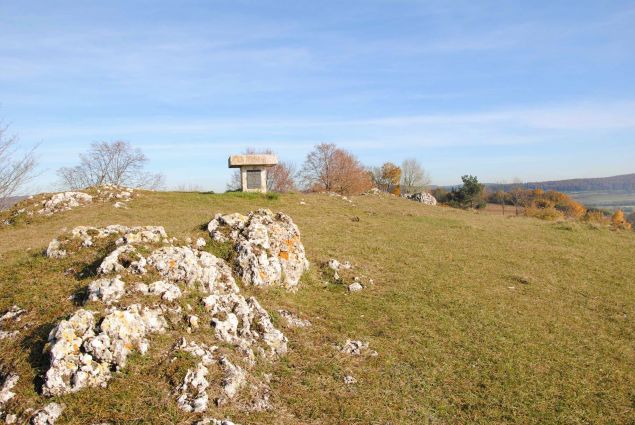 Eindruck vom Bubenheimer Berg
